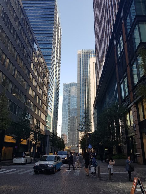 작성자 사진