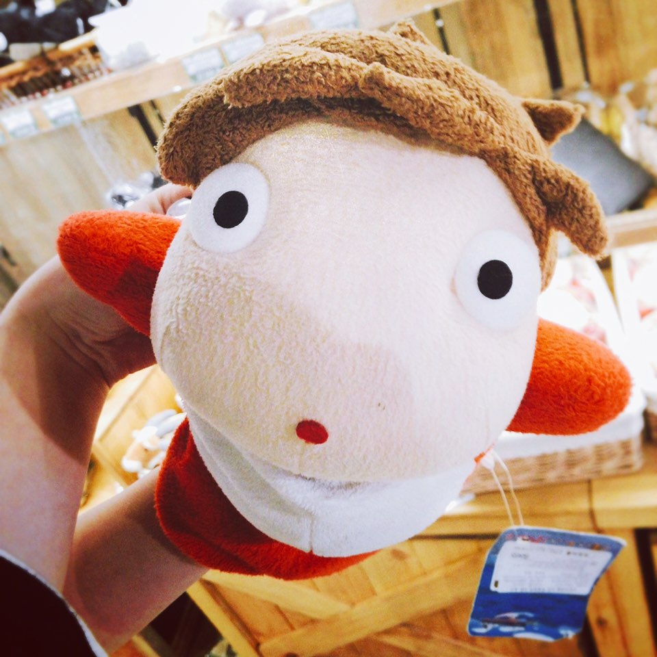 작성자 사진