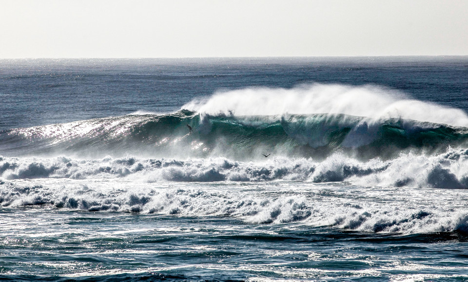 %ec%84%9c%ed%95%91%eb%a7%a4%ea%b1%b0%ec%a7%84-wsbfarm-%ec%83%98%ec%9c%a4-01