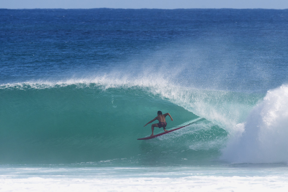 %ec%84%9c%ed%95%91%eb%a7%a4%ea%b1%b0%ec%a7%84-wsbfarm-%ec%83%98%ec%9c%a4-02