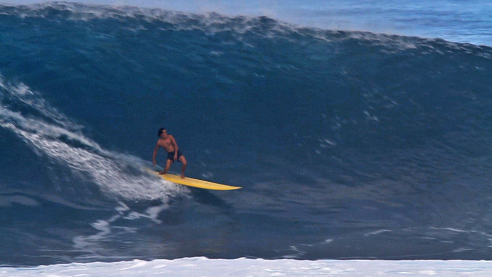 %ec%84%9c%ed%95%91%eb%a7%a4%ea%b1%b0%ec%a7%84-wsbfarm-%ec%83%98%ec%9c%a4-03