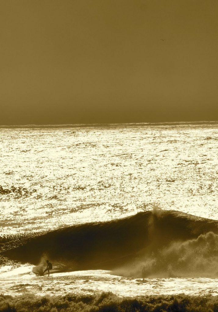 %ec%84%9c%ed%95%91%eb%a7%a4%ea%b1%b0%ec%a7%84-wsbfarm-%ec%83%98%ec%9c%a4-04